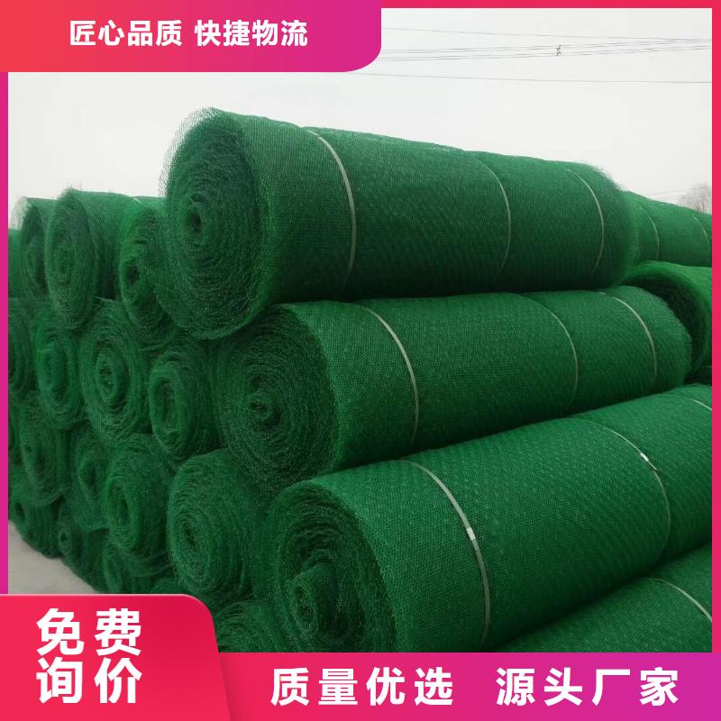 边坡防护三维植被网免费寄样/提供检测买的放心
