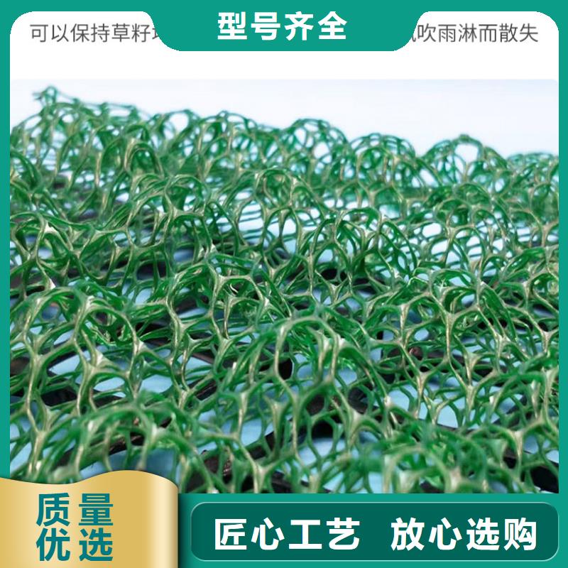 三维植被网【钢塑土工格栅】种类丰富厂家销售