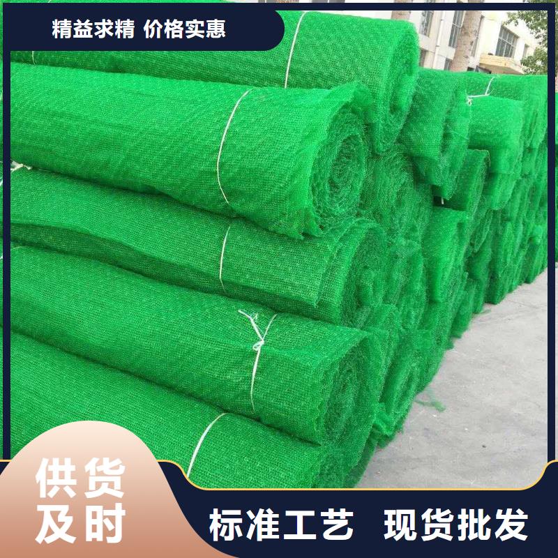 三维植被网,膨润土防水毯种类丰富大厂家实力看得见