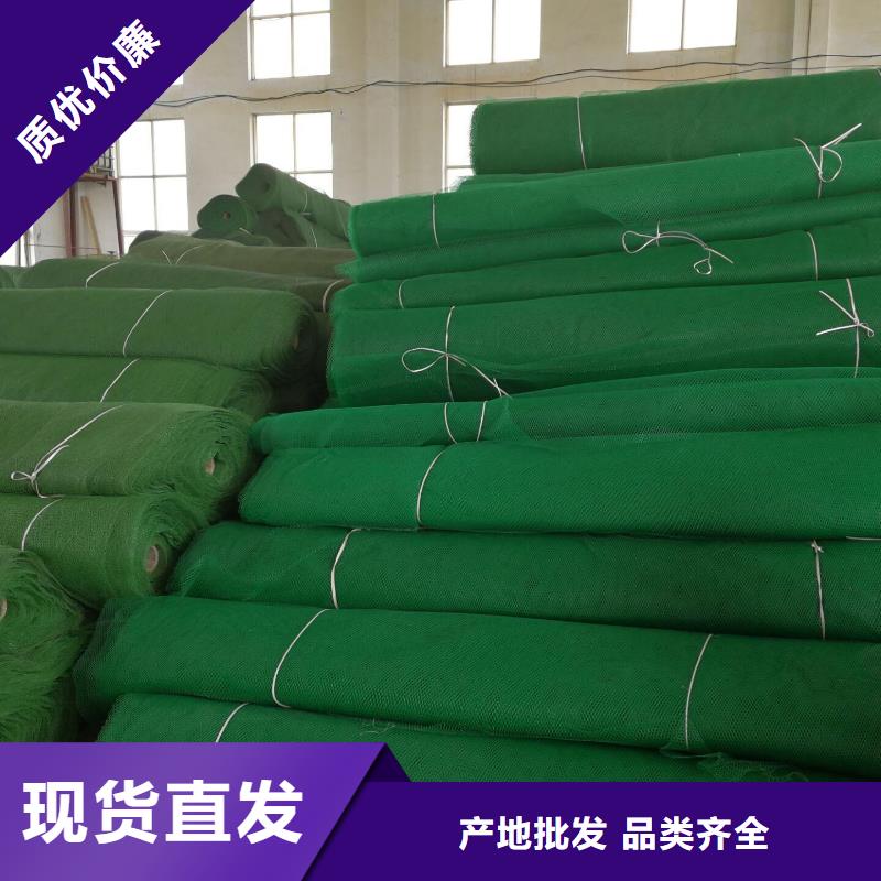 三维植被网垫免费寄样/提供检测精品选购