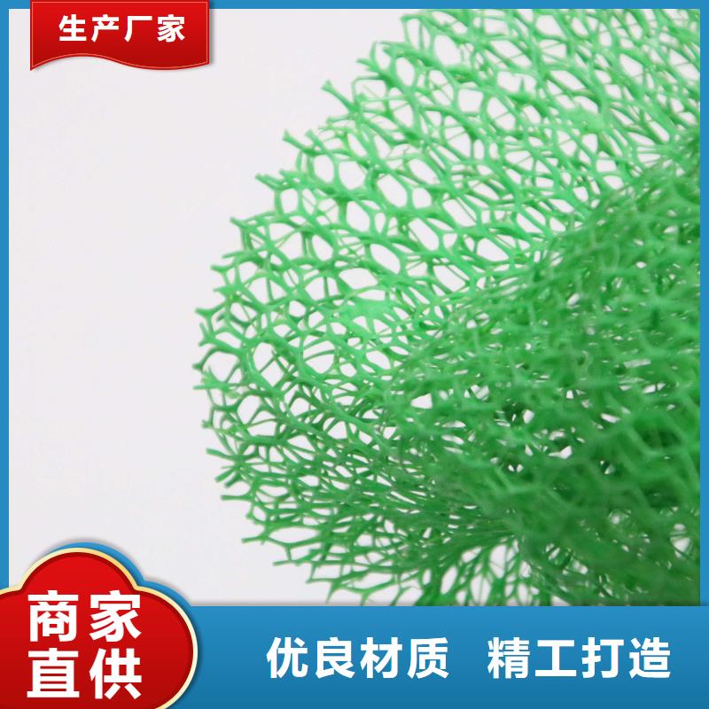 三维植被网_土工HDPE膜源头厂商精选厂家好货