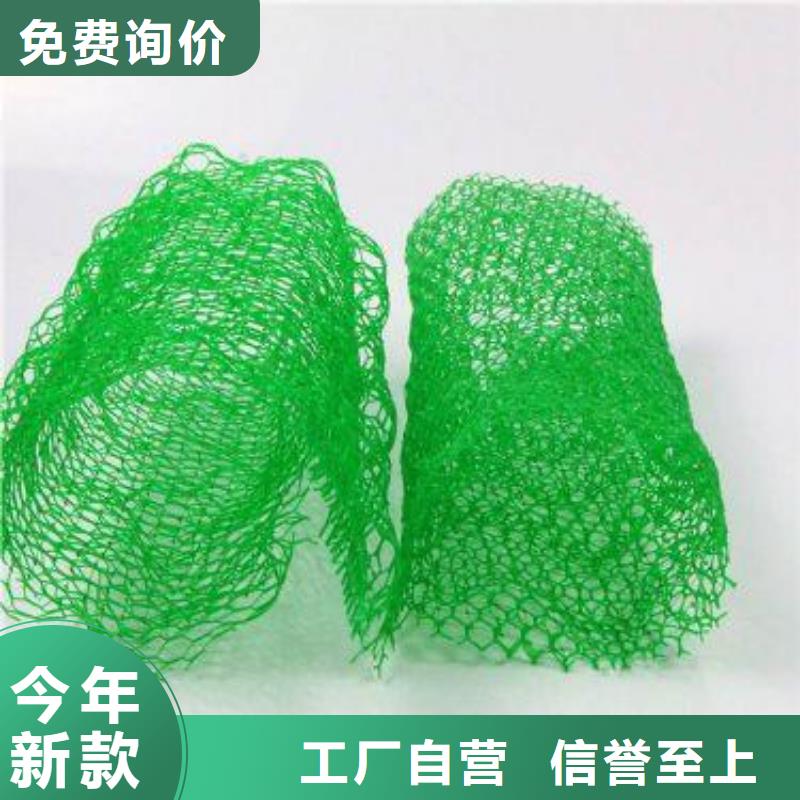三维复合植被网生产厂家哪家好同城制造商