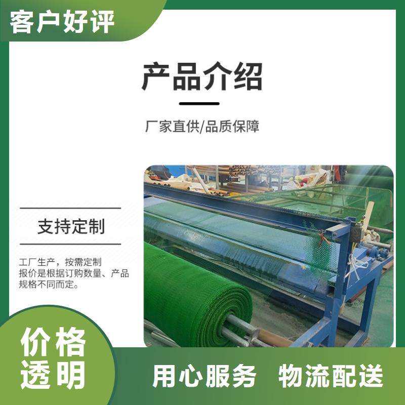 三维植被网,复合土工膜厂家十分靠谱符合标准
