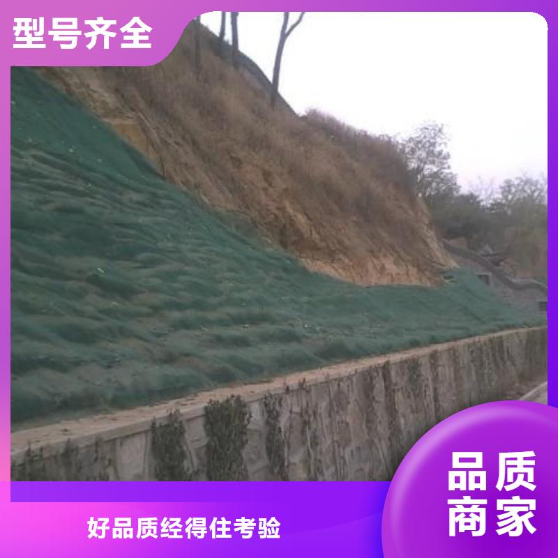 2025边坡防护三维植被网施工方法厂家直销货源充足