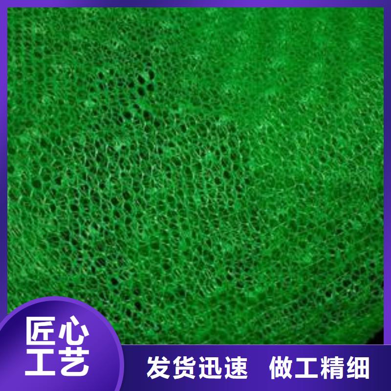 【三维植被网-工程布畅销本地】工厂认证