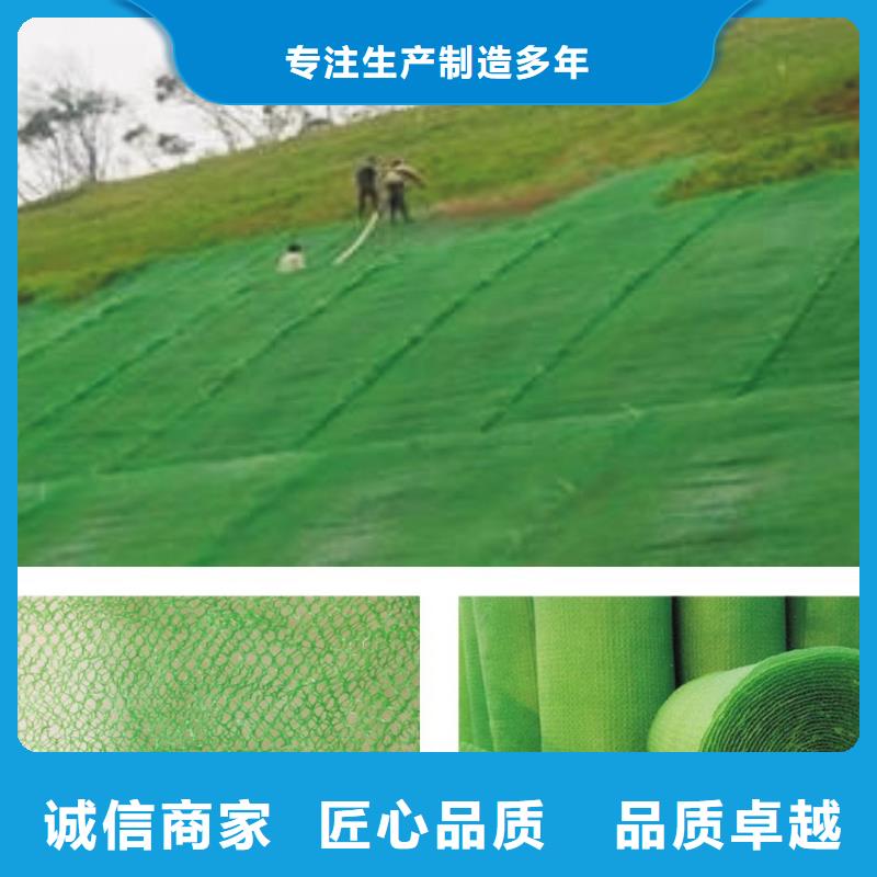 边坡防护三维植被网多少钱一平方？货源稳定