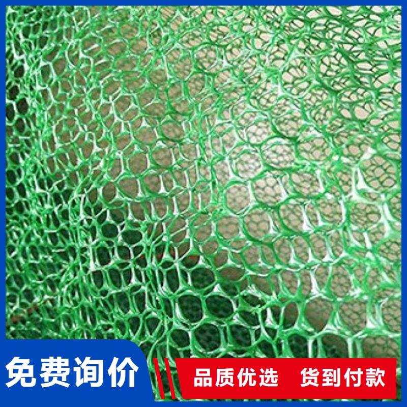 绿化环保三维植被网厂家直供厂家现货供应