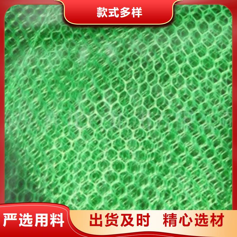三维植被网【涤纶土工格栅】匠心制造品质保证实力见证