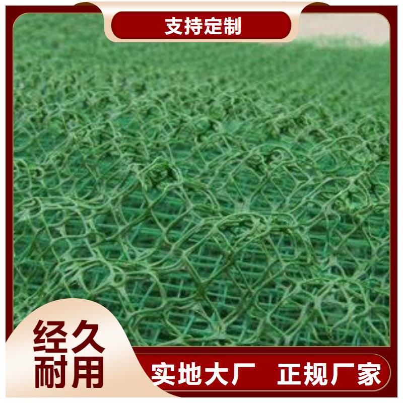 塑料三维植被网施工方法用的放心