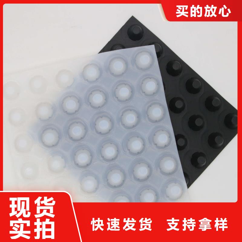 塑料排水板复合土工膜真材实料诚信经营源头厂家来图定制