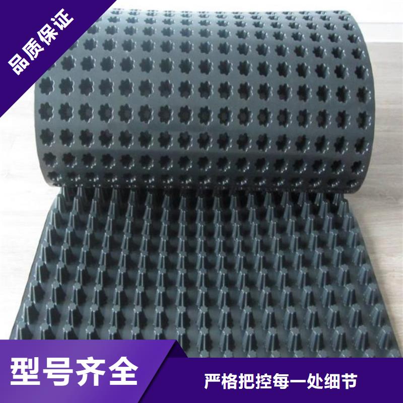 【塑料排水板_土工布省心又省钱】实力雄厚品质保障