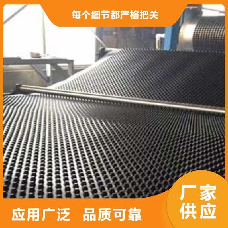 塑料排水板单向塑料土工格栅型号全价格低当地货源