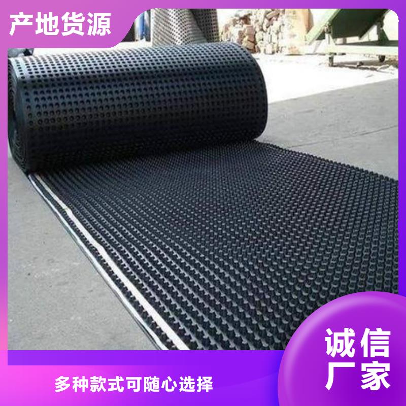 塑料排水板三维土工网垫品质好才是硬道理全品类现货