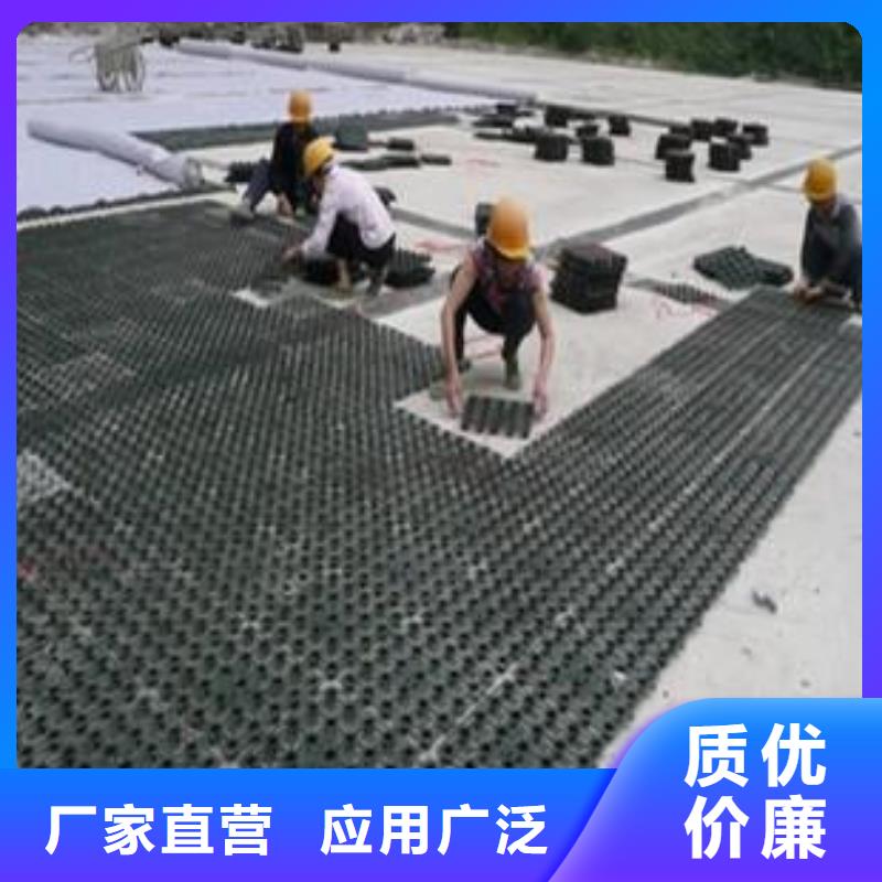 塑料排水板单向塑料土工格栅货源报价大库存无缺货危机