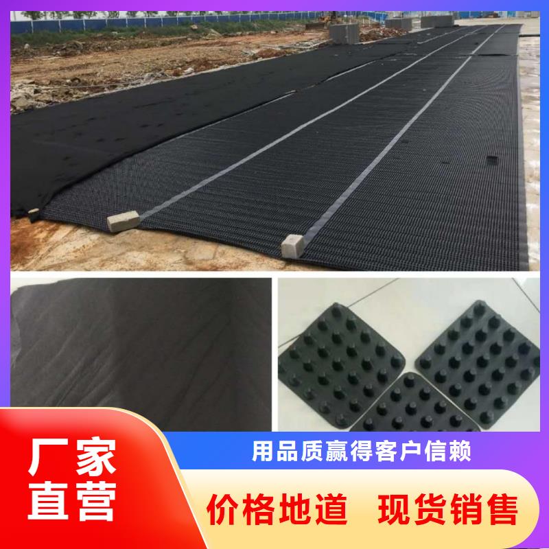 塑料排水板双向土工格栅厂家经验丰富厂家直销供货稳定