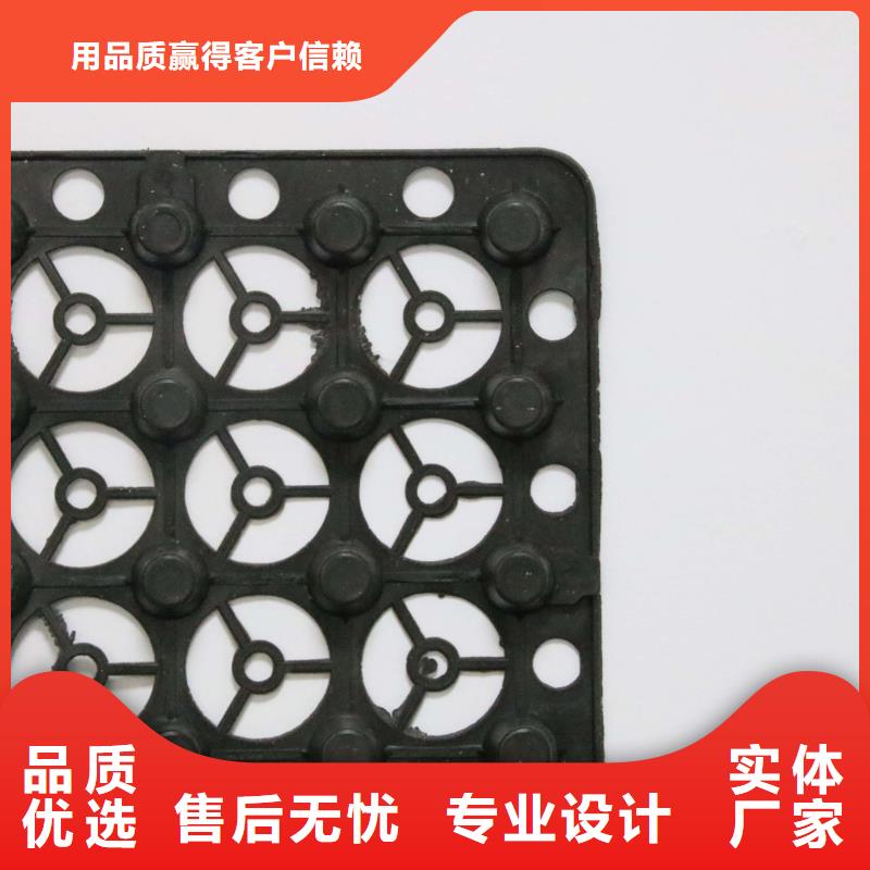 塑料排水板-复合土工膜真正的源头厂家放心购