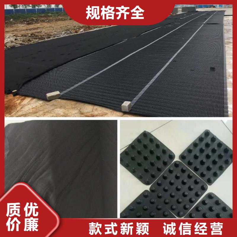 塑料排水板钢塑土工格栅专业厂家优质货源