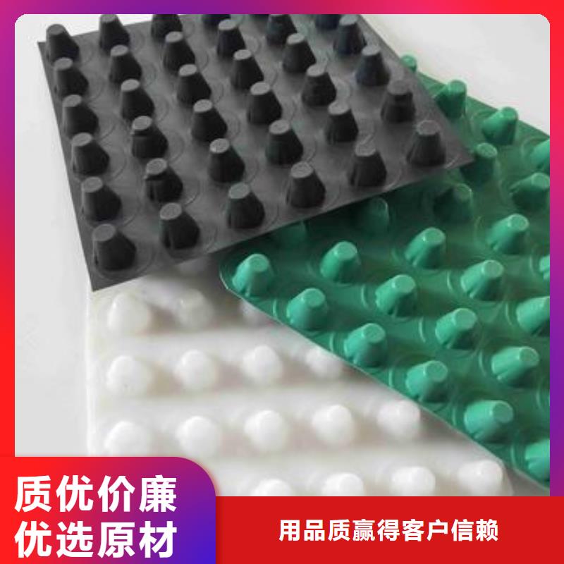 塑料排水板复合土工膜海量现货直销同城服务商