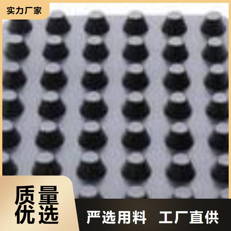 塑料排水板,土工格栅价格实惠当地生产商