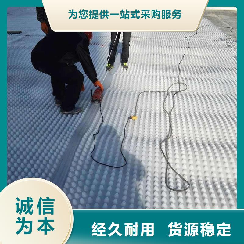 塑料排水板【三维土工网垫】诚信可靠匠心工艺