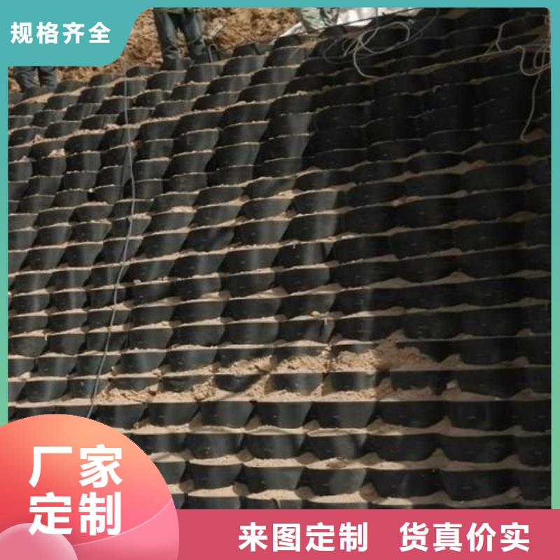 【土工格室】,hdpe士工膜高品质现货销售真诚合作