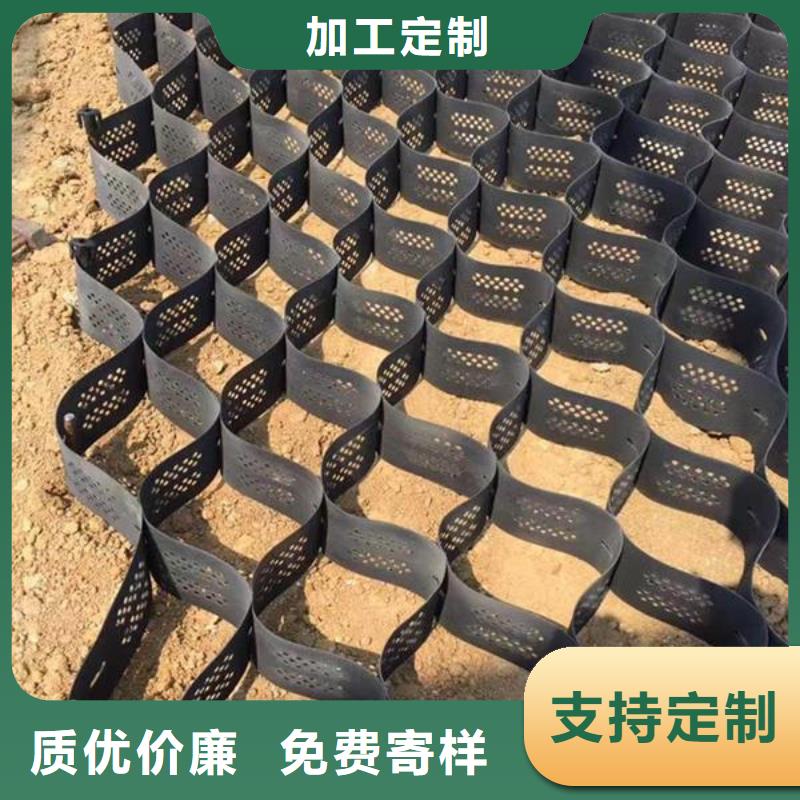 土工格室钢塑土工格栅物流配送本地生产商