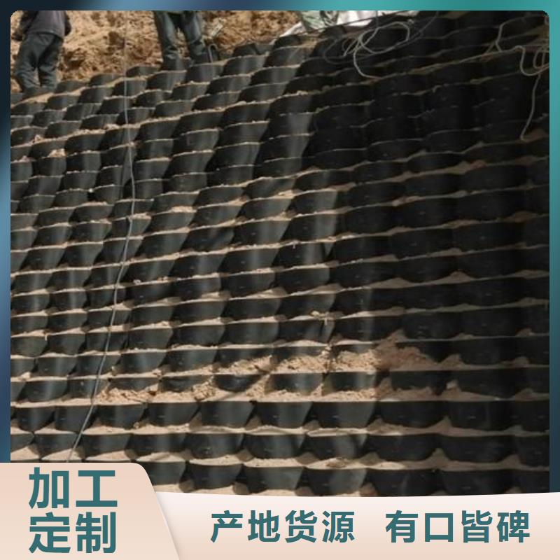 【土工格室】塑料排水板精品选购省心又省钱