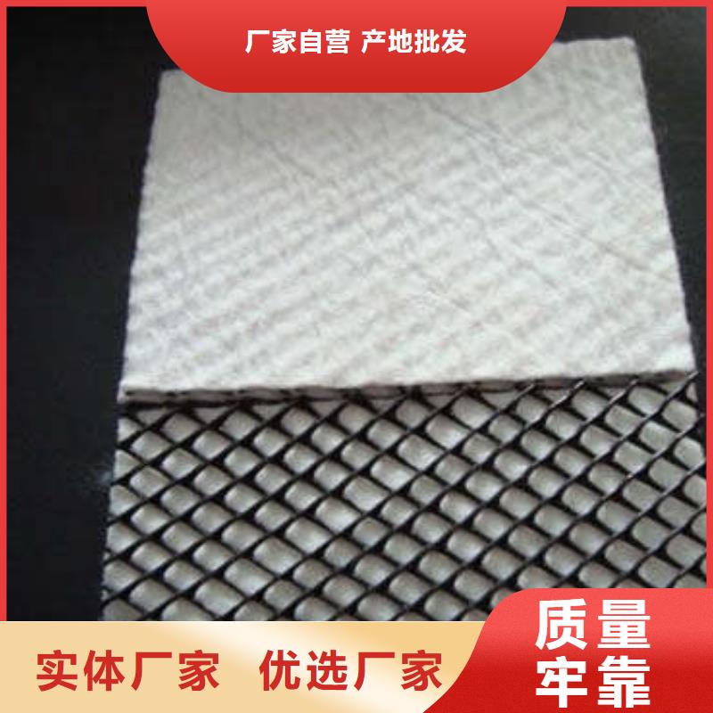 【三维复合排水网】塑料土工格栅大库存无缺货危机技术先进
