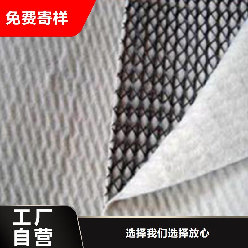 三维复合排水网【HDPE土工膜】精选货源本地制造商