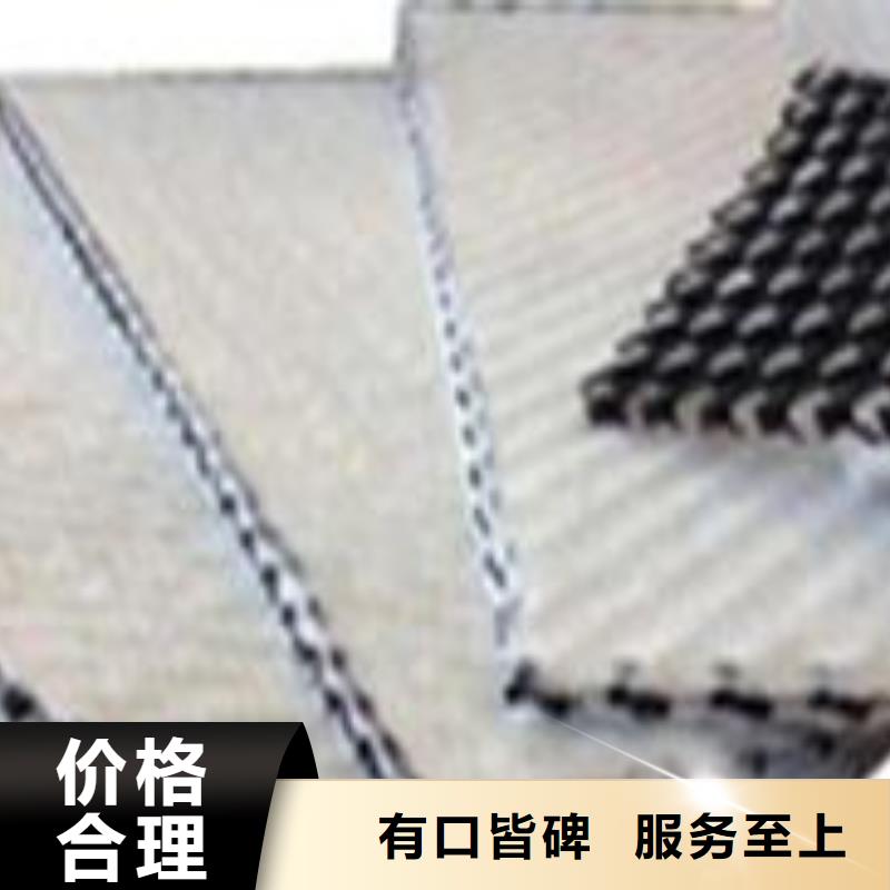 三维复合排水网【土工格室】优质原料当地服务商