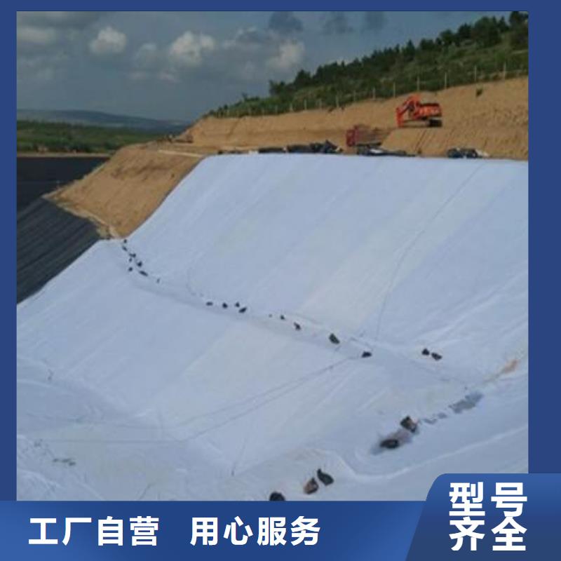 三维复合排水网防水土工布分类和特点同城货源