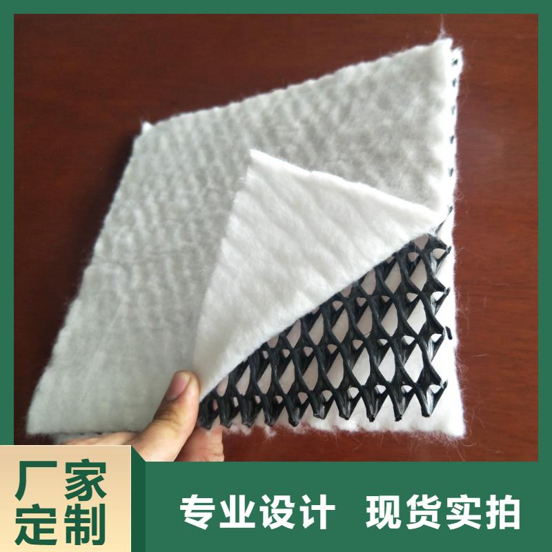三维复合排水网单向塑料土工格栅的简单介绍选择大厂家省事省心