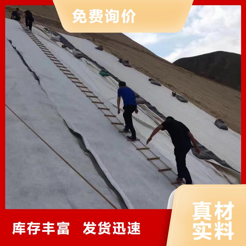 三维复合排水网,涤纶土工格栅专业生产N年当地公司