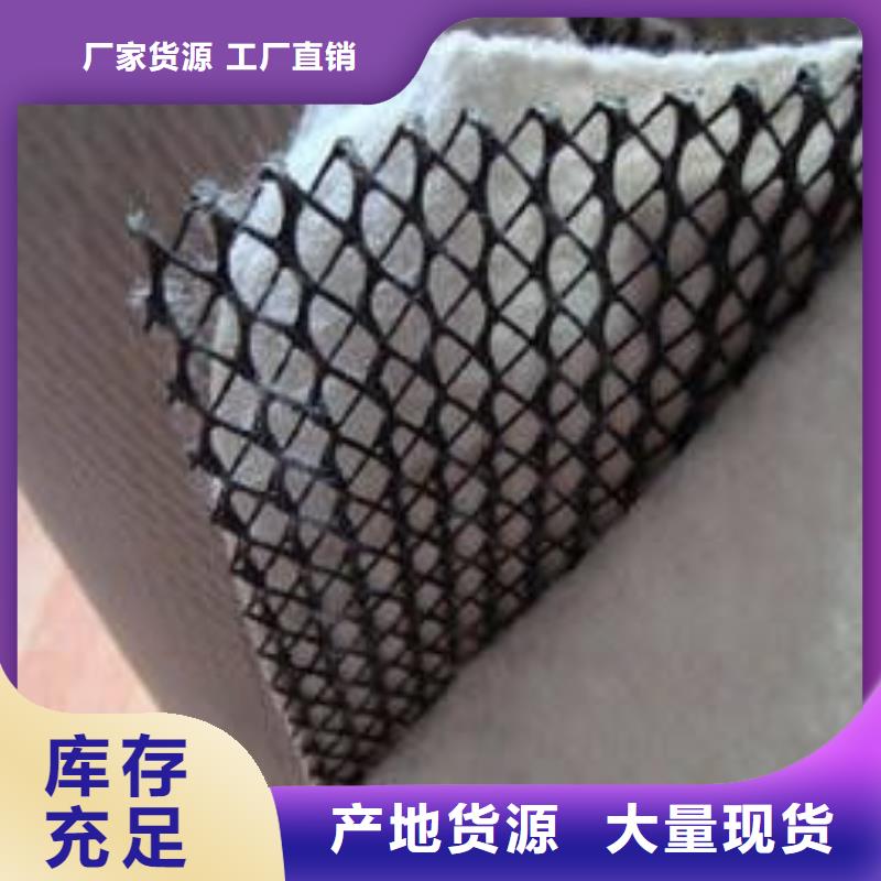 【三维复合排水网】钢塑土工格栅发货及时厂家
