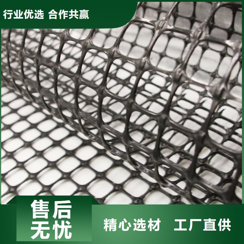 塑料土工格栅护坡土工网支持定制批发同城生产商