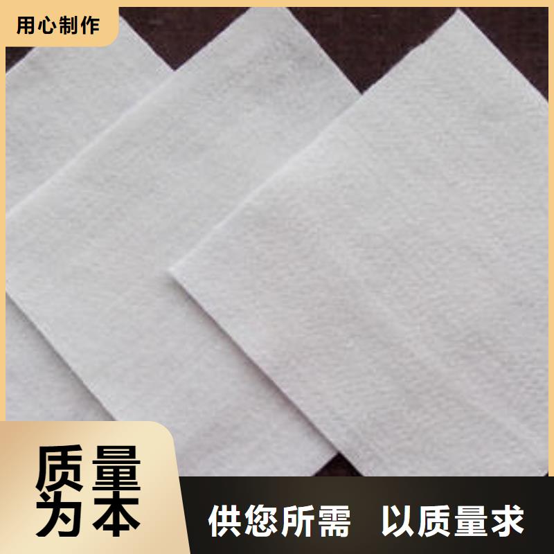 【土工布HDPE土工膜好品质经得住考验】市场行情