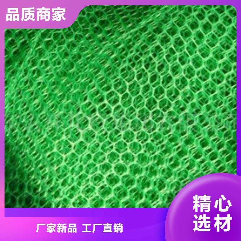 三维植被网单向塑料土工格栅质优价保贴心服务