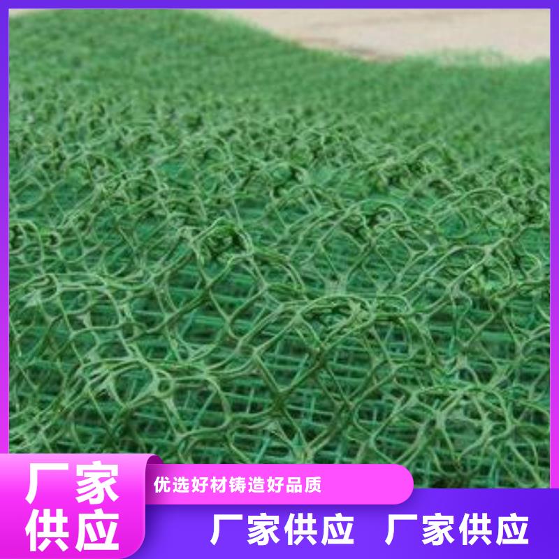 三维植被网,【三维土工网垫】量少也做交货准时