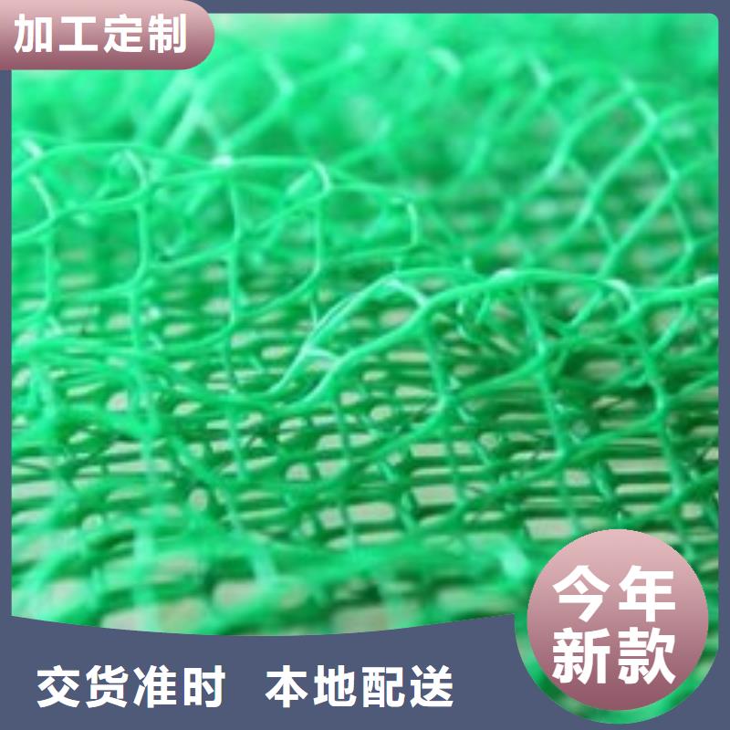 三维植被网【单向塑料土工格栅】工厂采购卓越品质保障