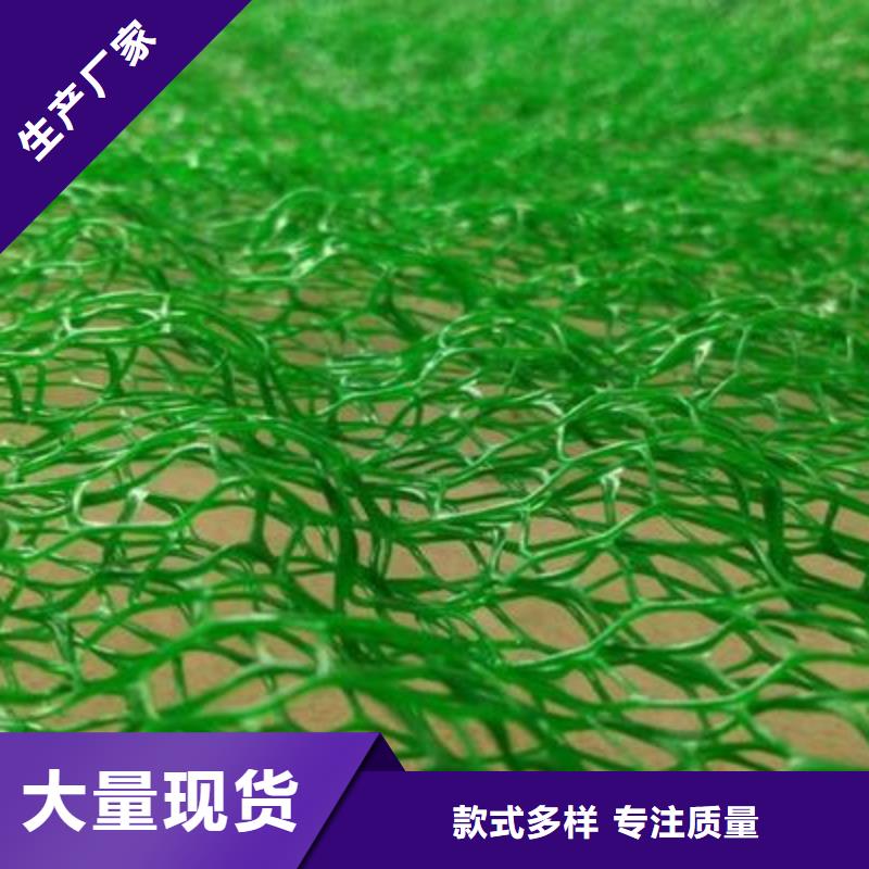 三维植被网三维土工网垫产地直供当地经销商