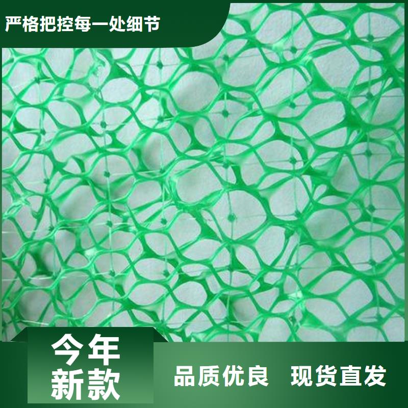 三维植被网凸结点钢塑土工格栅正规厂家厂家直销