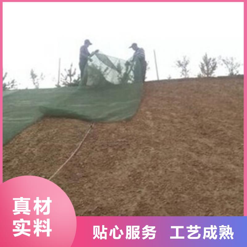 三维植被网-短丝土工布工厂认证选择我们选择放心