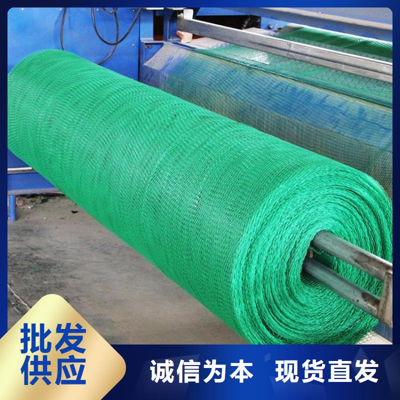 【三维植被网凸结点钢塑土工格栅拒绝中间商】品质保证