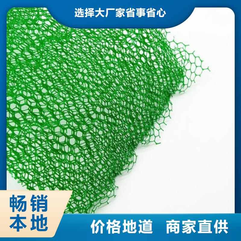 三维植被网三维土工网垫源头厂家直销厂家货源