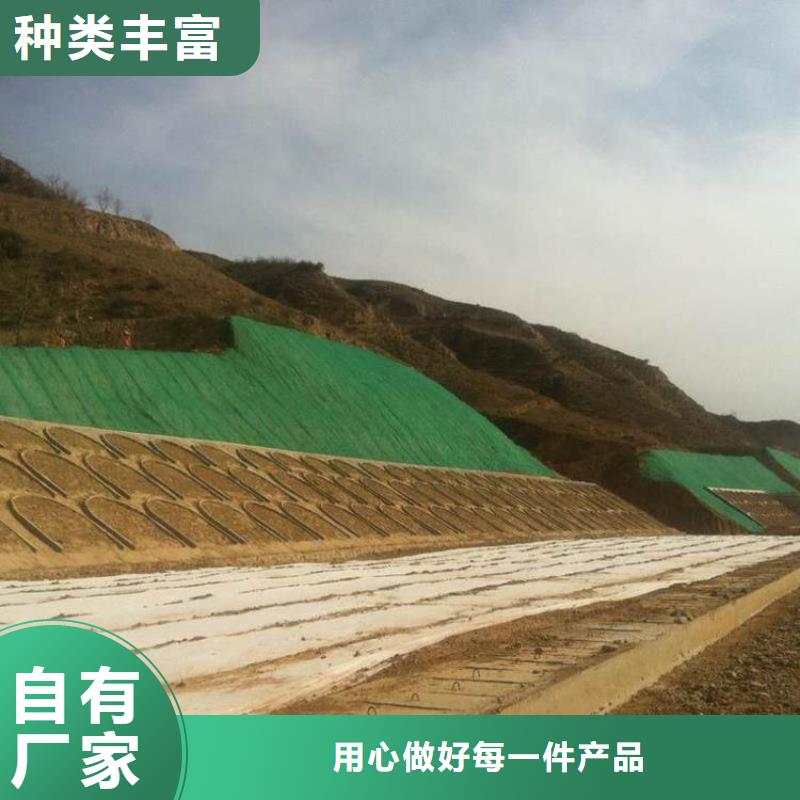 三维植被网-土工格室多家仓库发货源头厂家量大价优