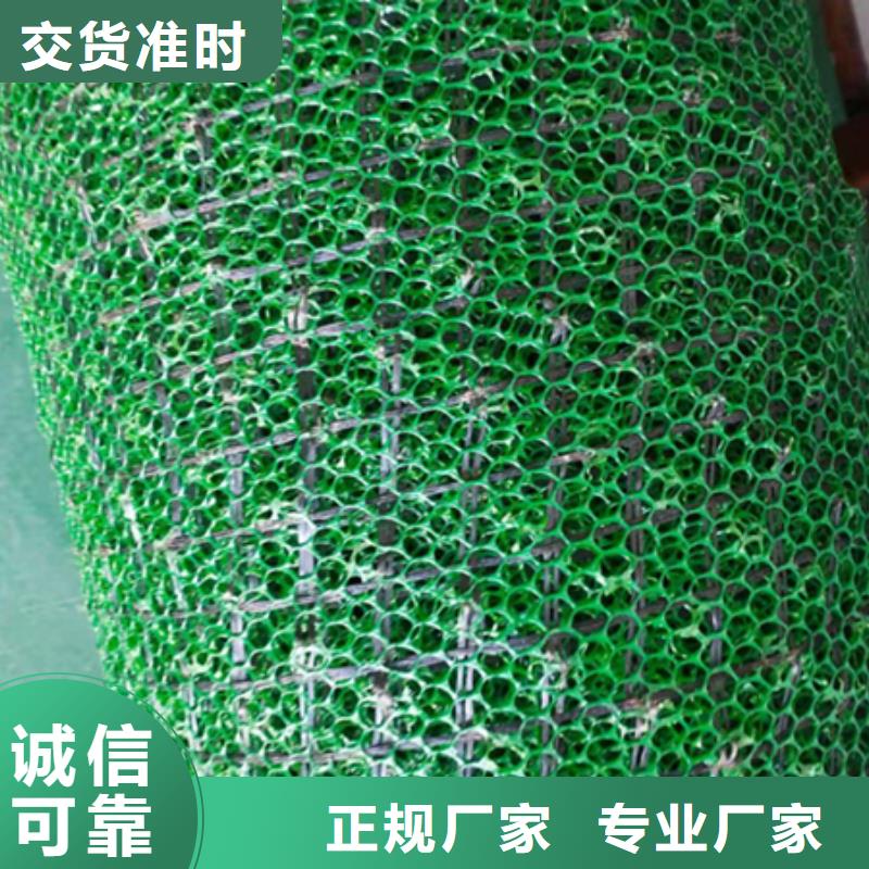 【三维植被网】_三维土工网垫厂家精选以质量求生存