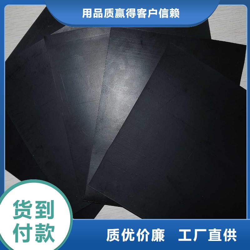 复合土工膜鱼塘养殖膜厂家同城生产厂家