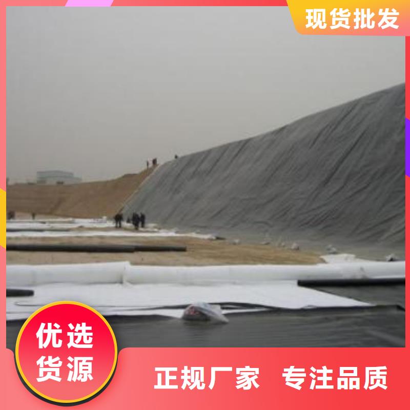 土工膜【凸结点钢塑土工格栅】品质保障价格合理诚信经营