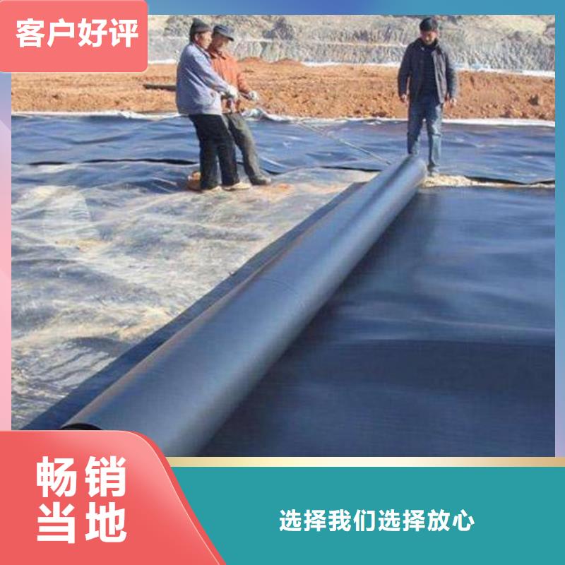 临高县防渗土工膜鱼塘养殖膜厂家设计制造销售服务一体