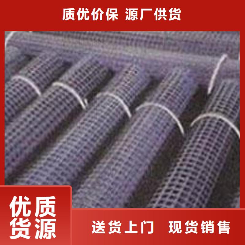 钢塑土工格栅双向拉伸土工格栅产品性能同城厂家